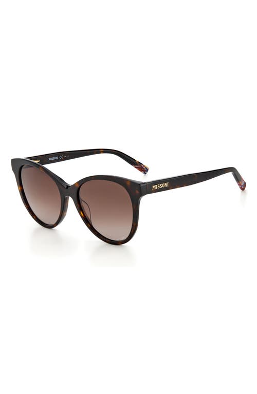 Missoni 54mm Gradient Cat Eye Sunglasses In Havana