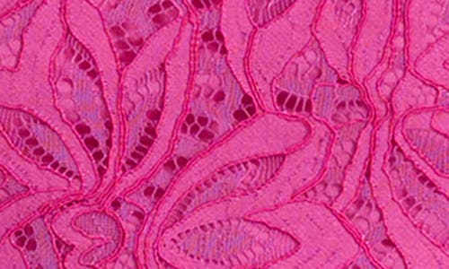 Kensie Corded Lace Mini Dress In Fuchsia
