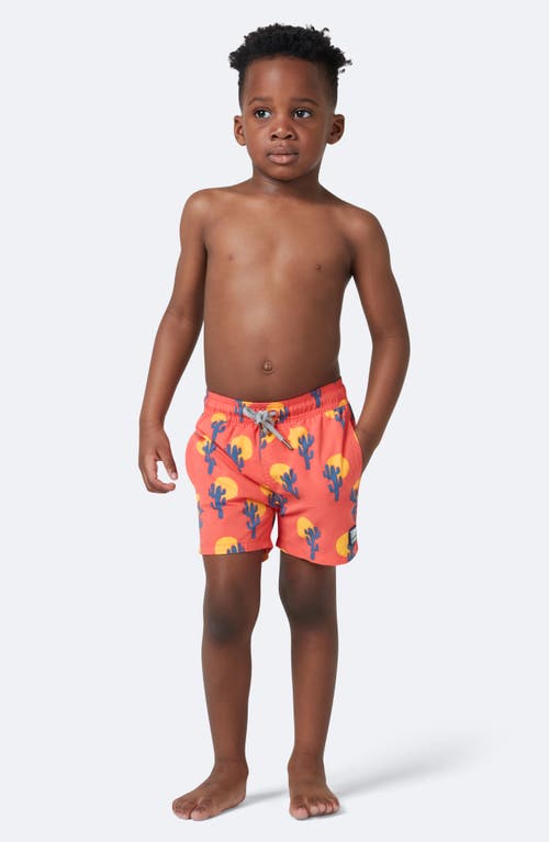 Shop Tom & Teddy Kids' Cactus Swim Trunks In Deep Rose