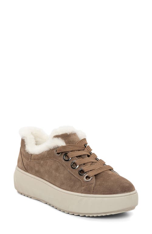 ara Mikky Genuine Shearling Sneaker in Brown 