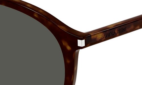 Shop Saint Laurent 56mm Pilot Sunglasses In Havana