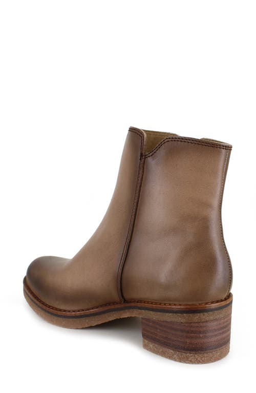 Shop National Comfort Carinna Bootie In Taupe