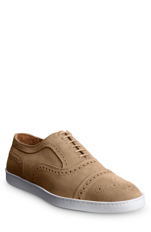 Allen edmonds hot sale suede shoes