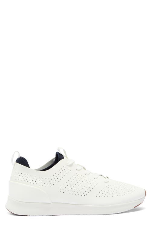 Shop Steve Madden P-brixx Sport Sneaker In Navy/white