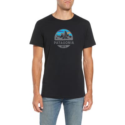 Patagonia Fitz Roy Scope Crewneck T-Shirt