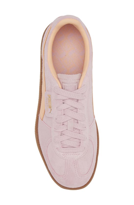 Shop Puma Palermo Leather Sneaker In Grape Mist-peach Fizz