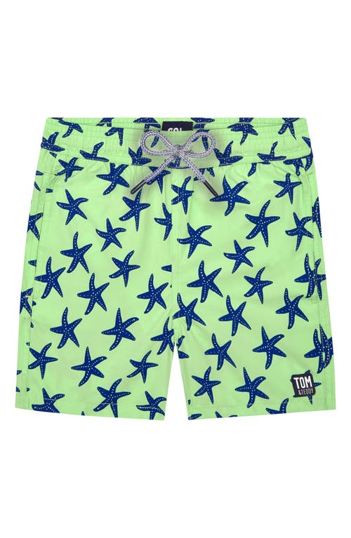 Tom & Teddy Kids' Starfish Print Swim Trunks Pale Green at Nordstrom,