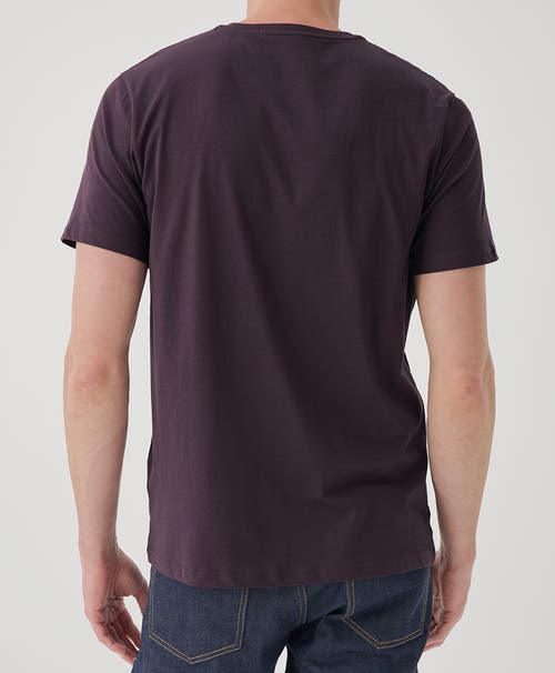 Shop Pact Organic Softspun V-neck Tee In Plum