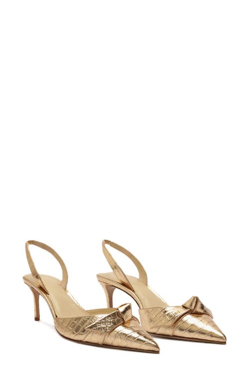 Alexandre Birman Clarita Croc Embossed Slingback Pump Mekong at Nordstrom,