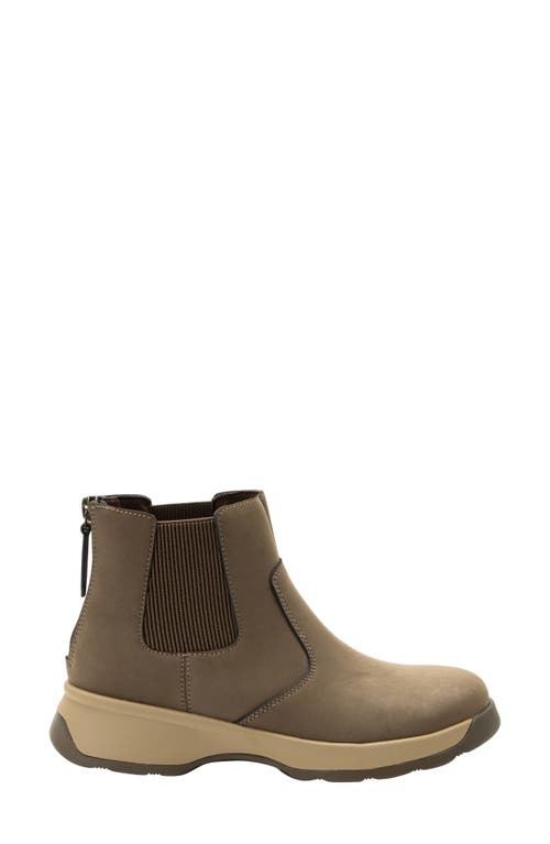 Alegria By Pg Lite Chelsea Boot In Driftwood