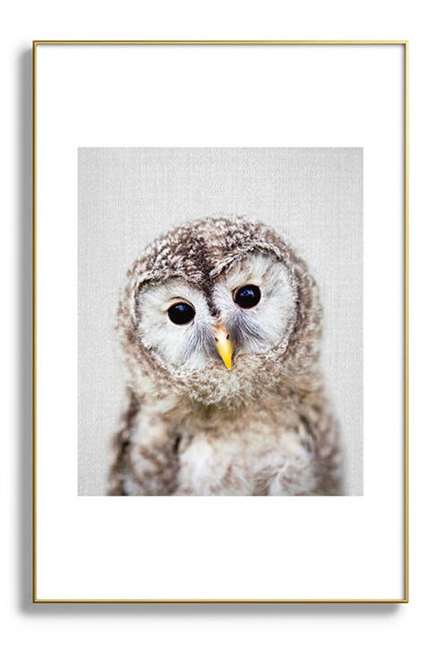 Baby Owl Colorful Framed Art Print