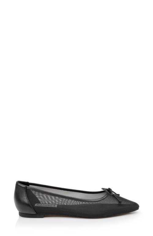 BADGLEY MISCHKA BADGLEY MISCHKA COLLECTION CAM POINTED TOE BALLET FLAT 