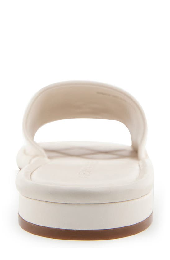 AEROSOLES AEROSOLES JILDA SLIDE SANDAL