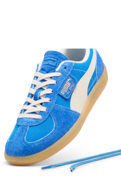 Shop Puma Palermo Sneaker In Hyperlink Blue-frosted Ivory