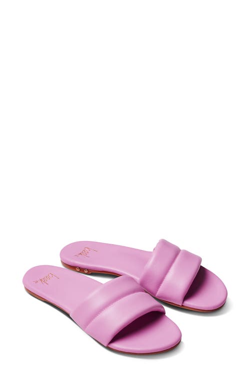 Sugarbird Slide Sandal in Lilac