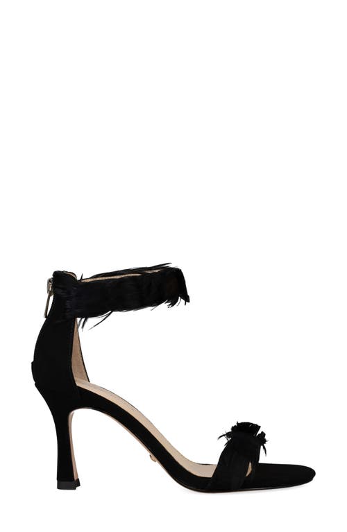 Pelle Moda Breece Ankle Strap Sandal In Black