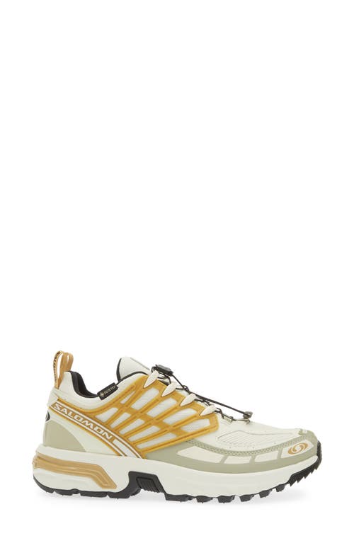 Shop Salomon Acs Pro Gore-tex® Waterproof Sneaker In Icicle/antelope/tea