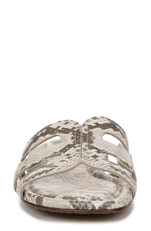 Sam Edelman Bay Cutout Slide Sandal In Roccia