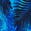 selected Blue color