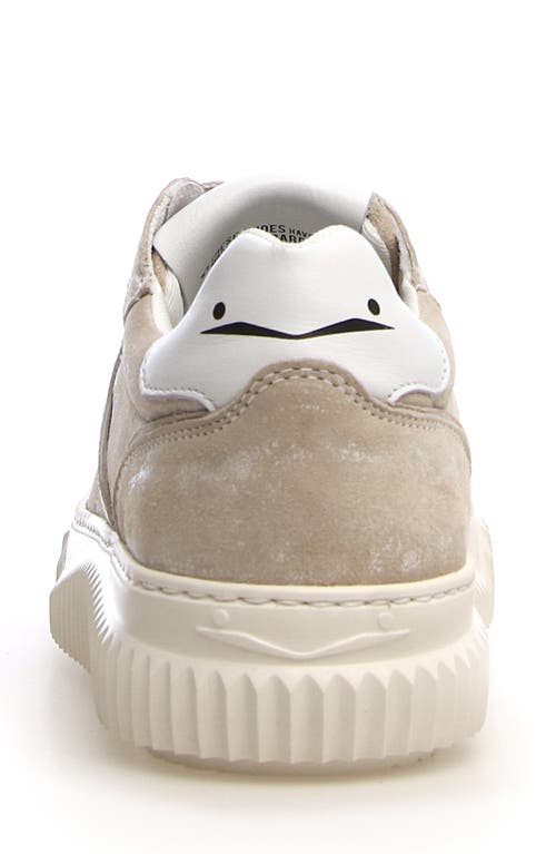 Voile Blanche Women's Lipari Lace Up Low Top Sneakers In Slate/white