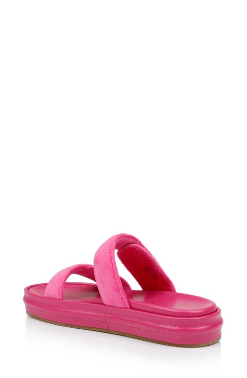 Shop Dee Ocleppo Finland Slide Sandal In Pink