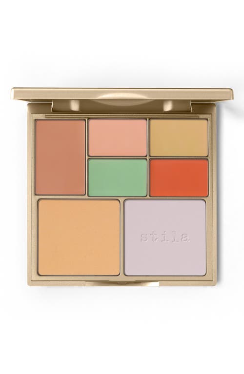 Correct & Perfect All-in-One Color Correcting Palette