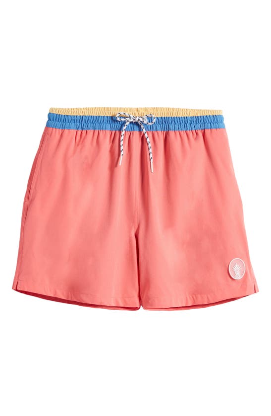 Chubbies The Apex Swimmers Swim Trunks In The Bright Outs