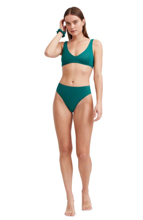 Au Naturel by Gottex Solid Bikini bra swim top Emerald at Nordstrom,