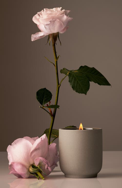 Shop Homecourt Signature Candle In Steeped Rose