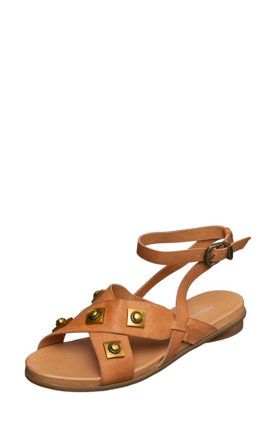 Shop Antelope Reza Stud Sandal In Tan Leather