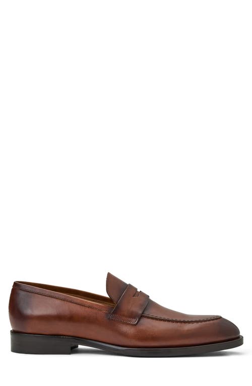 Shop Bruno Magli Payton Penny Loafer In Cognac