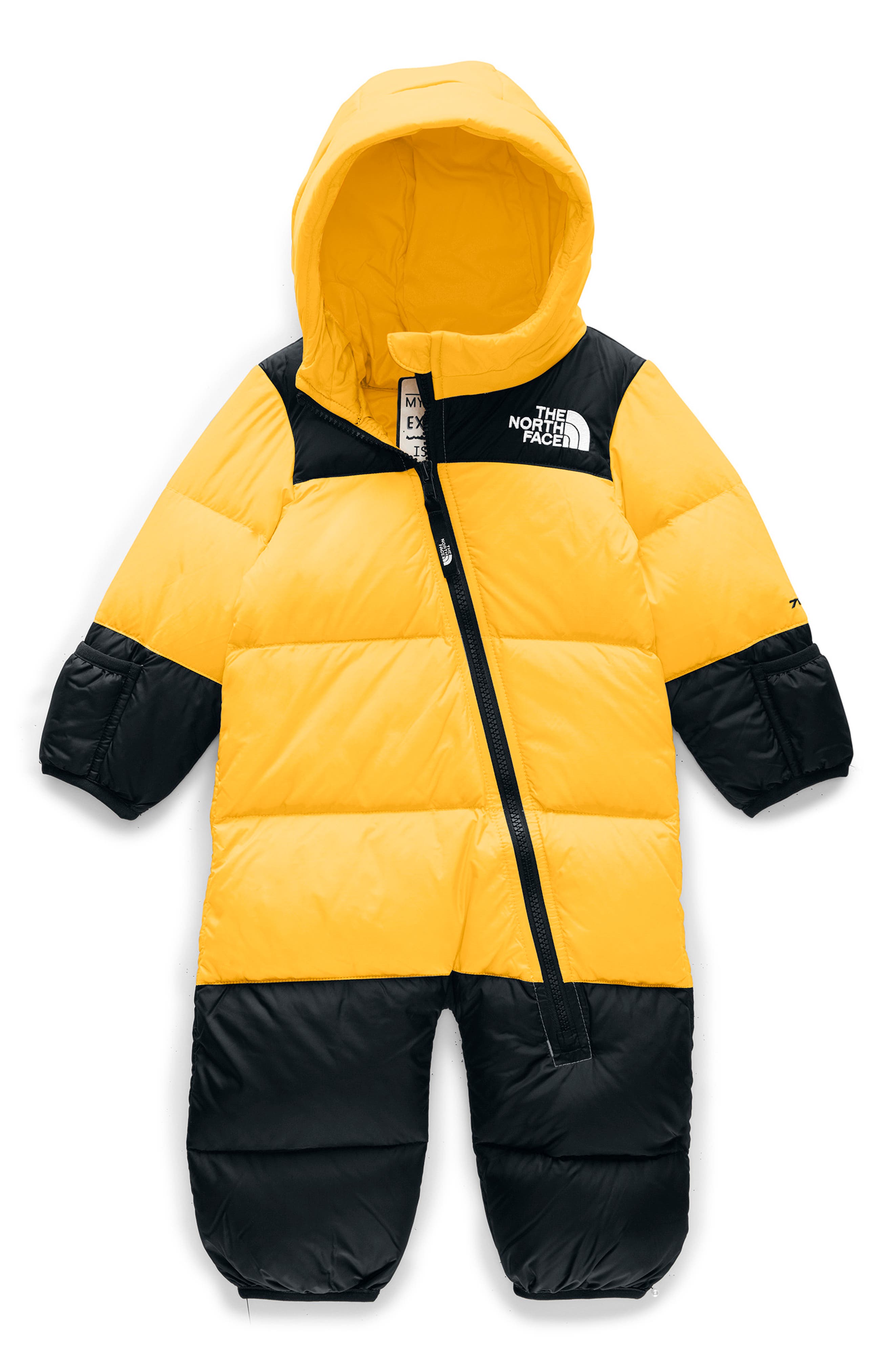 The North Face Nuptse 700 Fill Power Down Bunting (Baby) Nordstrom
