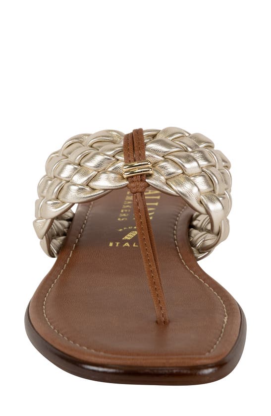 ITALIAN SHOEMAKERS ITALIAN SHOEMAKERS HASLEY FLIP FLOP