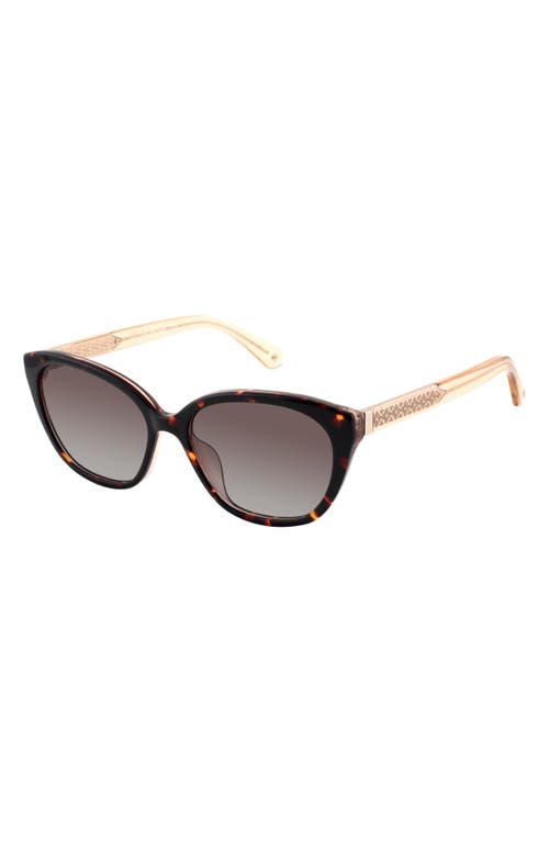 Kate Spade New York Phillipa 54mm Gradient Cat Eye Sunglasses In Havana/beige/brown