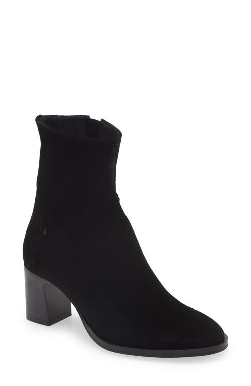 Cordani Berkeley Bootie in Black Suede