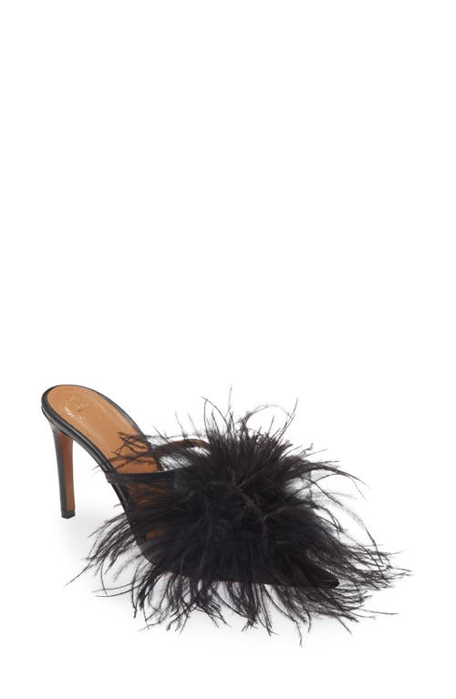 Laviano Feather Pointed Toe Mule in Black