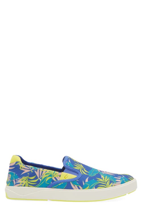 Olukai Lae'ahi Pa'i Slip-on Sneaker In Blue