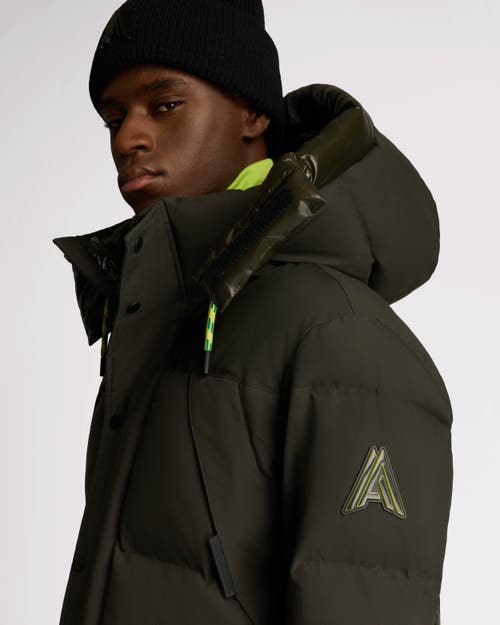 Shop Alpenhaus Verenfeld Heavyweight Puff Parka With Removable Hood In Moss