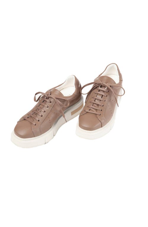 Shop Paloma Barceló Paloma Barcelo Agen Sneaker In Dark Beige/taupe