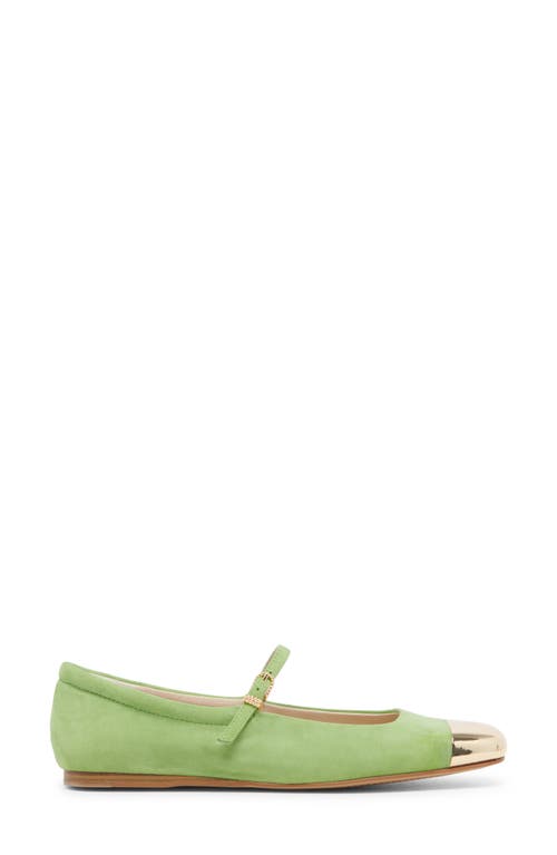 Shop Dolce Vita Reyes Cap Toe Mary Jane Flat In Lime Suede