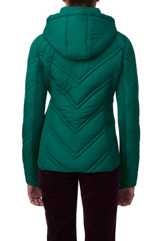 Shop Bernardo Hooded Puffer Jacket With Bib In Emerald Green