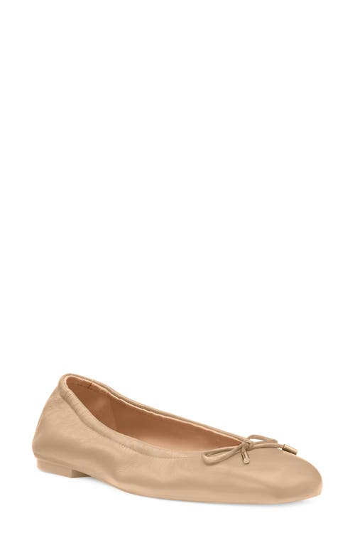 Stuart Weitzman Bow Flat at Nordstrom,