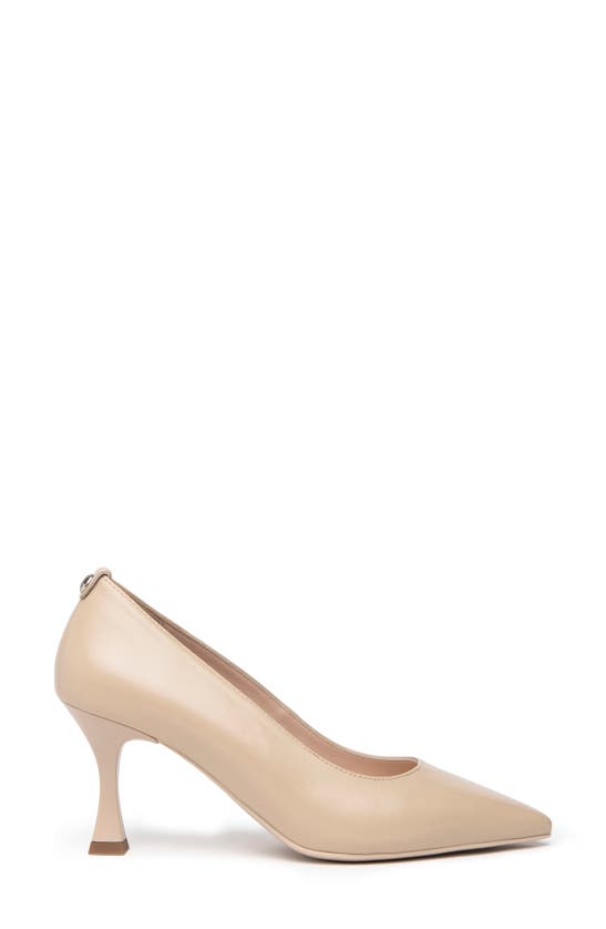 Nerogiardini Pointy Stiletto Dress Pumps In Linen