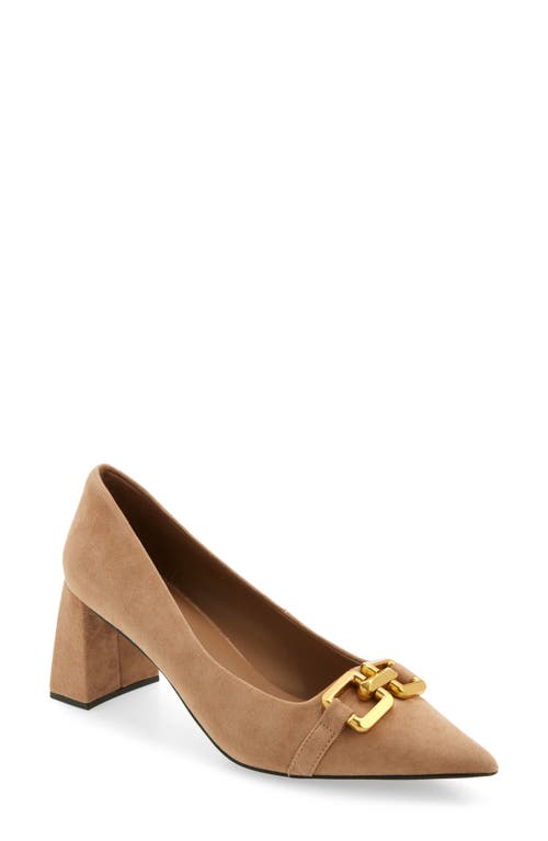 Shop Jeffrey Campbell Lasting Pointed Toe Pump In Dark Tan Suede Bronze