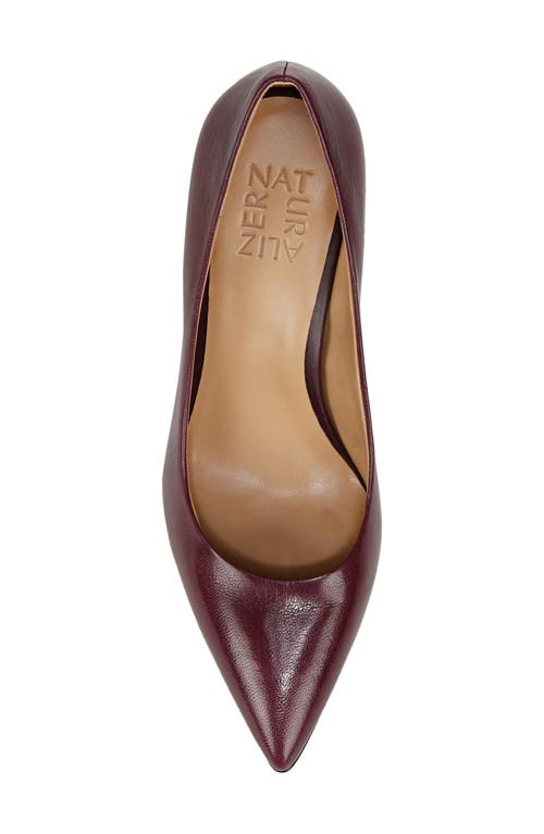 Shop Naturalizer Anna Pointed Toe Pump In Deep Plum Purple Leather