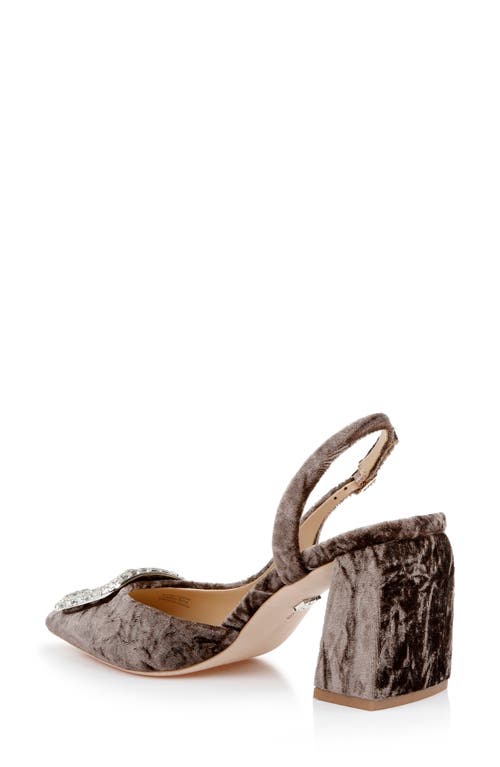 Badgley Mischka Collection Adaline Slingback Pointed Toe Pump In Brown Velvet