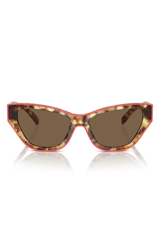 Shop Tory Burch 54mm Cat Eye Sunglasses In Dark Brown