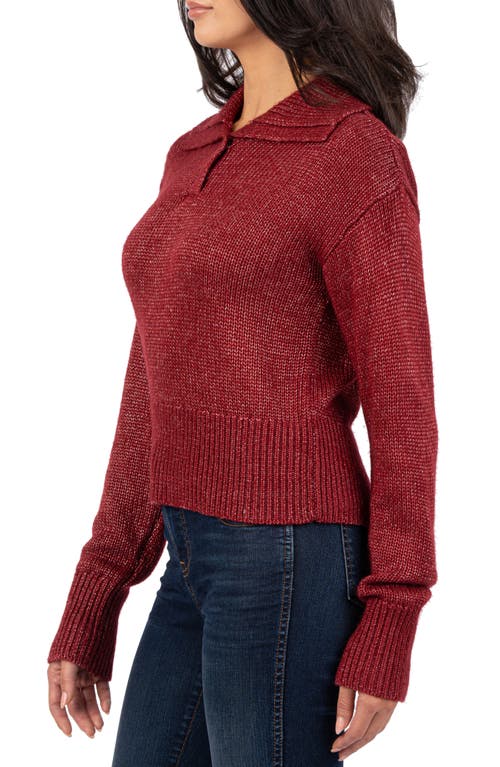 Shop Kut From The Kloth Anabel Henley Sweater In Wine