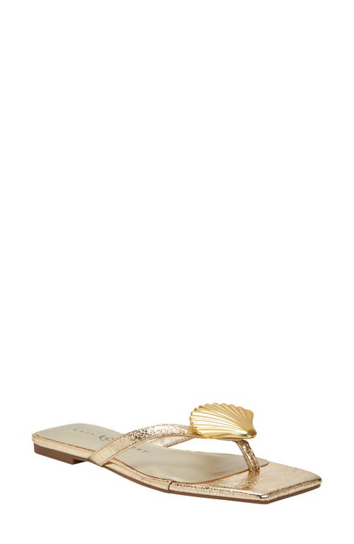 Katy Perry The Camie Shell Flip Flop Gold at Nordstrom,