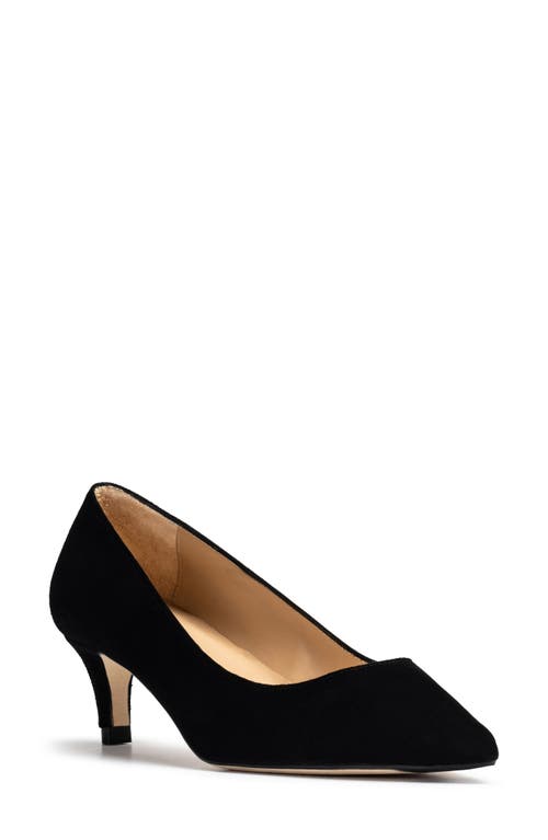 Tina Pointed Toe Pump in Black Suede